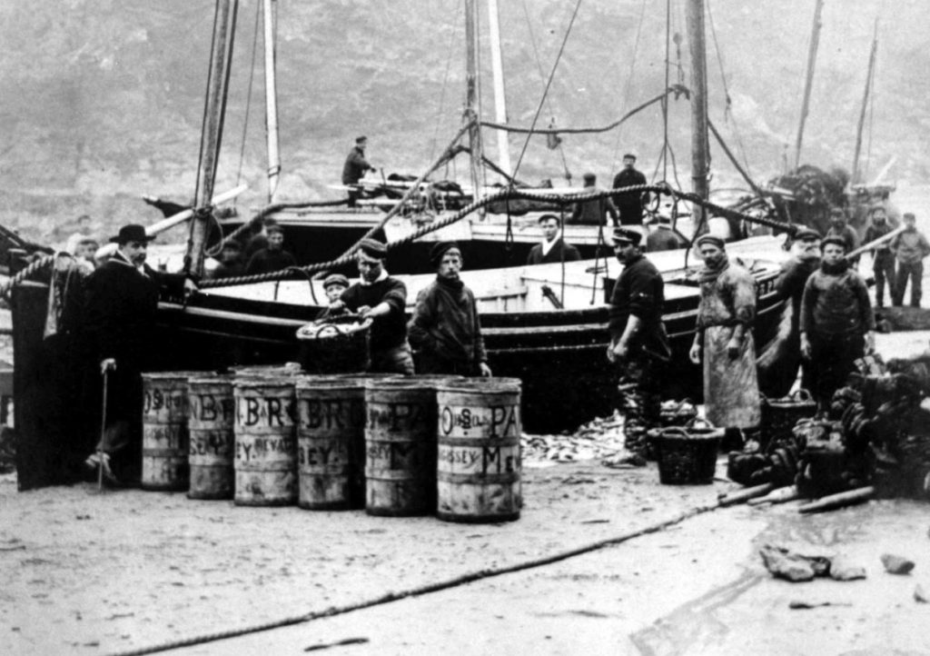 Fishing vessel 'King Edward' landing catch at Port Isaac for Pawlyn Bros, circa 1905