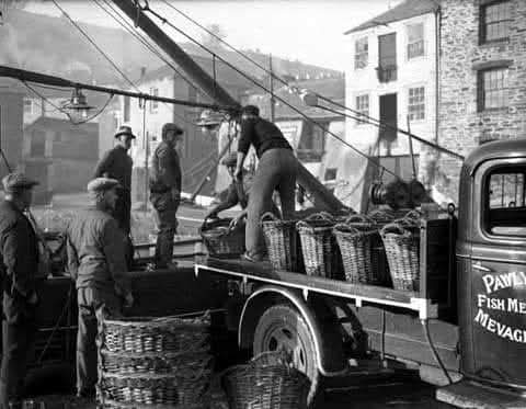 Pawlyn Bros fish merchants loading fish baskets onto lorry Mevagissey harbour Cornwall mid 1900s